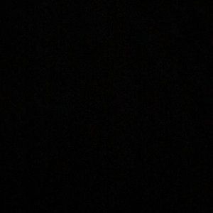 Meet your Posher, Ava